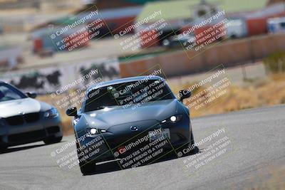 media/Mar-08-2025-Extreme Speed (Sat) [[4abb97269e]]/Blue/Turns 2  and  4 (Session 2)/